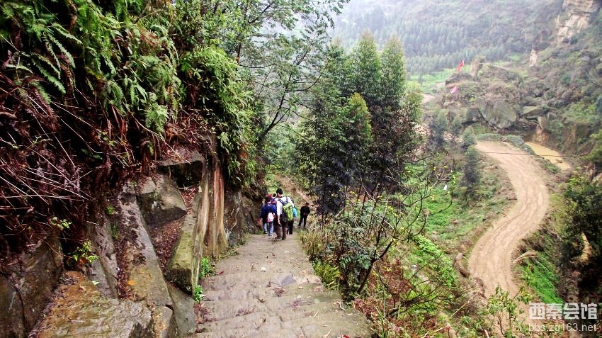 陕西安康中学生被砍_放学路上作文400字_欧美