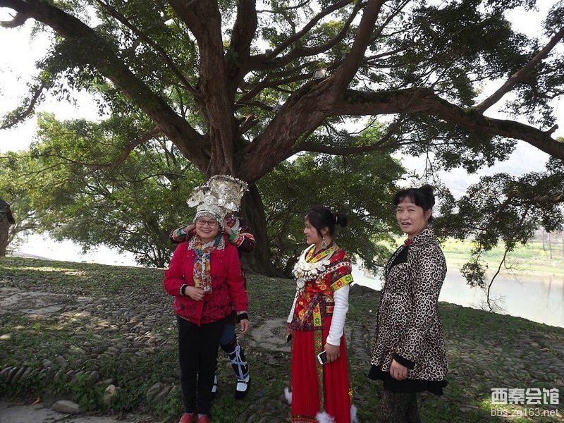 京东人工客服在哪儿_京东客服不在线_京东快