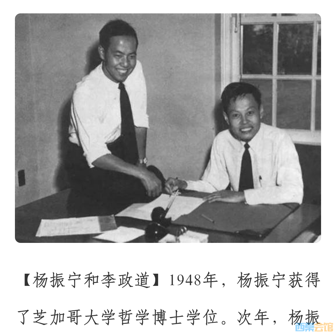 比杨震林小54岁的翁帆和原配很像?