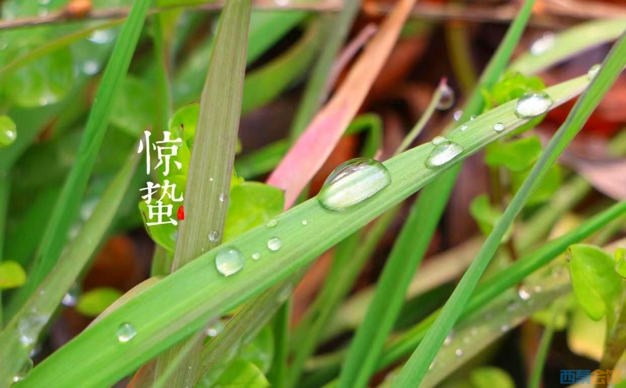 明日惊蛰,别忘了吃2红,2白,少食1样,顺应时节,家人更