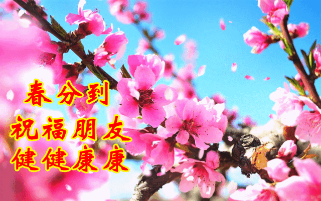 春分养生:吃三样,喝三样,健康就靠这三样!