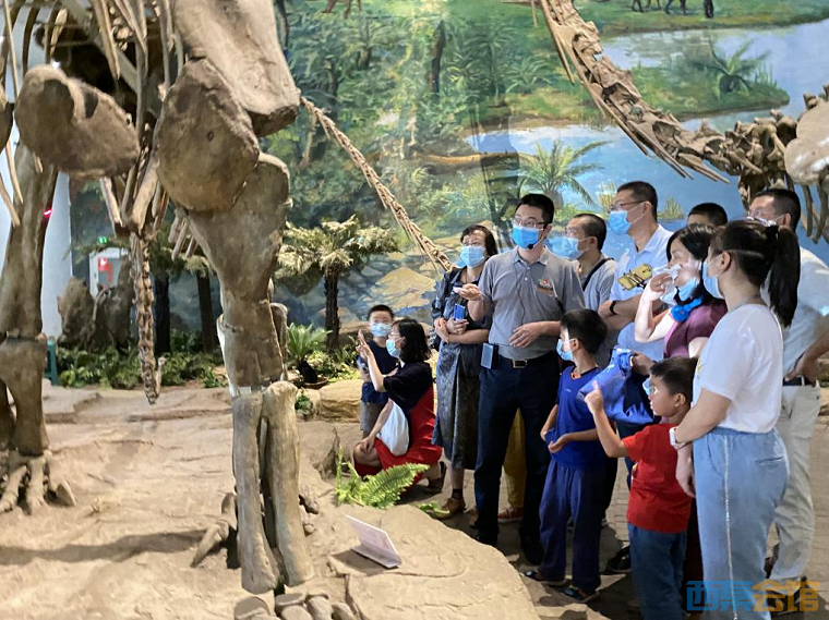 十一黄金周,自贡恐龙博物馆再现旅游高峰