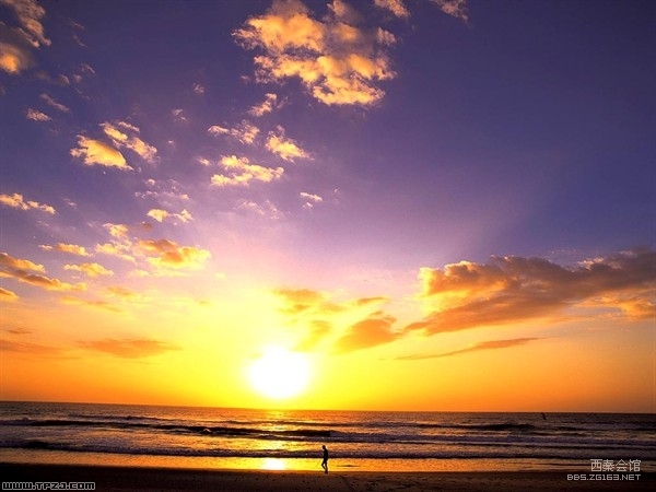 武汉招聘网站大全_招聘会心得_招聘网站排行