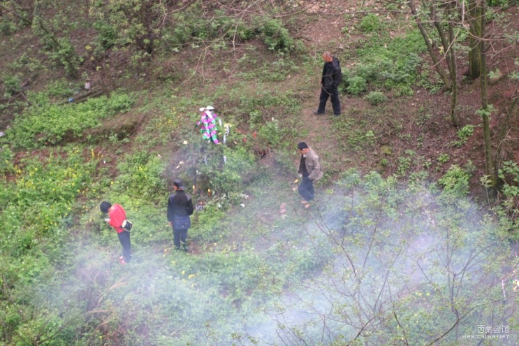 清明节丹桂大街又闻祭祀死人墓的鞭炮声