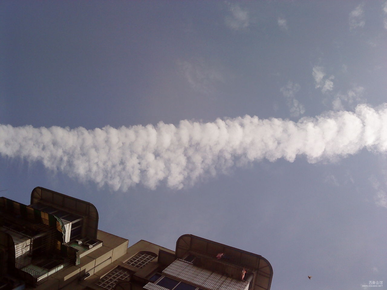 今天看到的天上的云,这是什么云?
