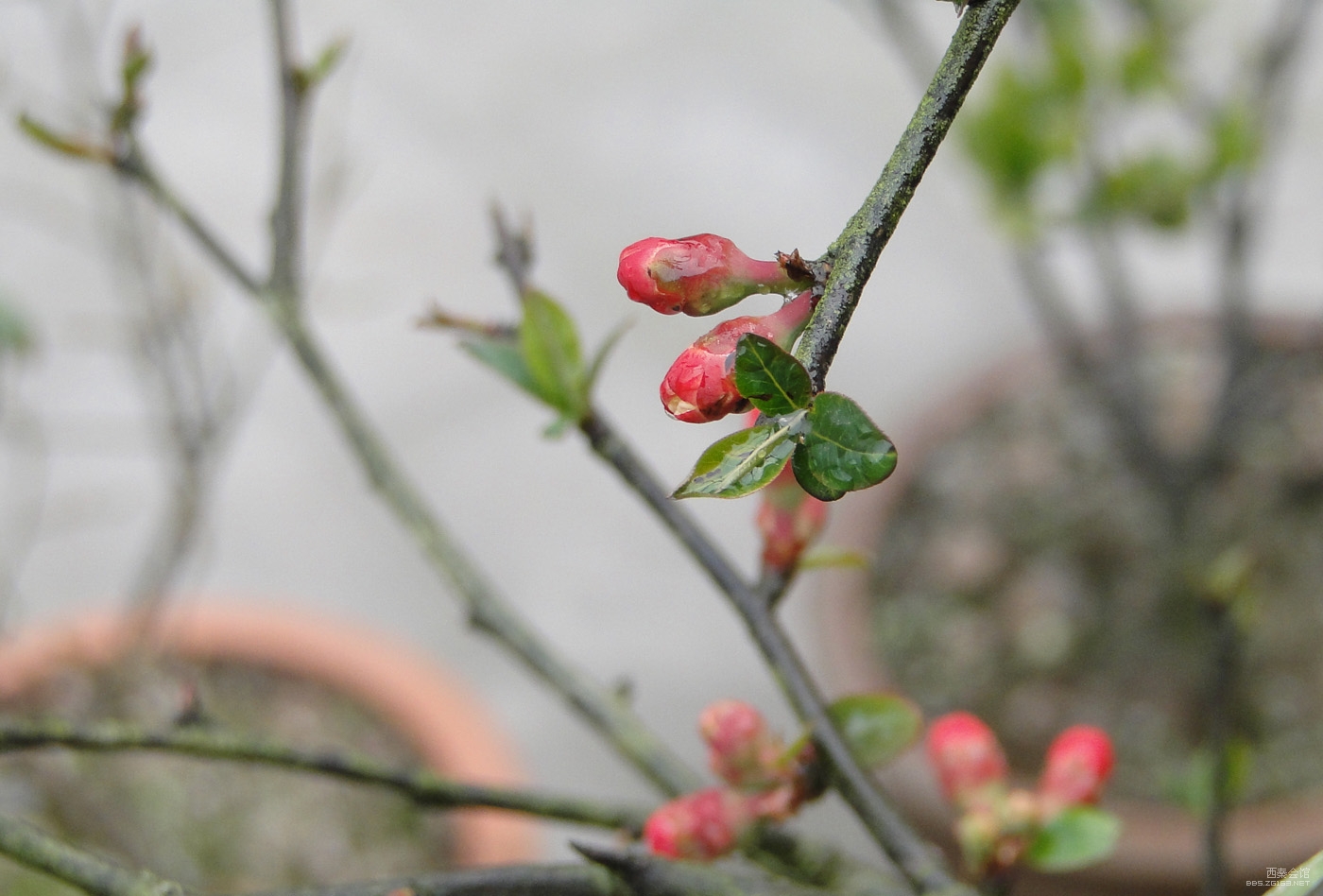 这么大的太阳,不拿花花草草出来晒晒就太可惜