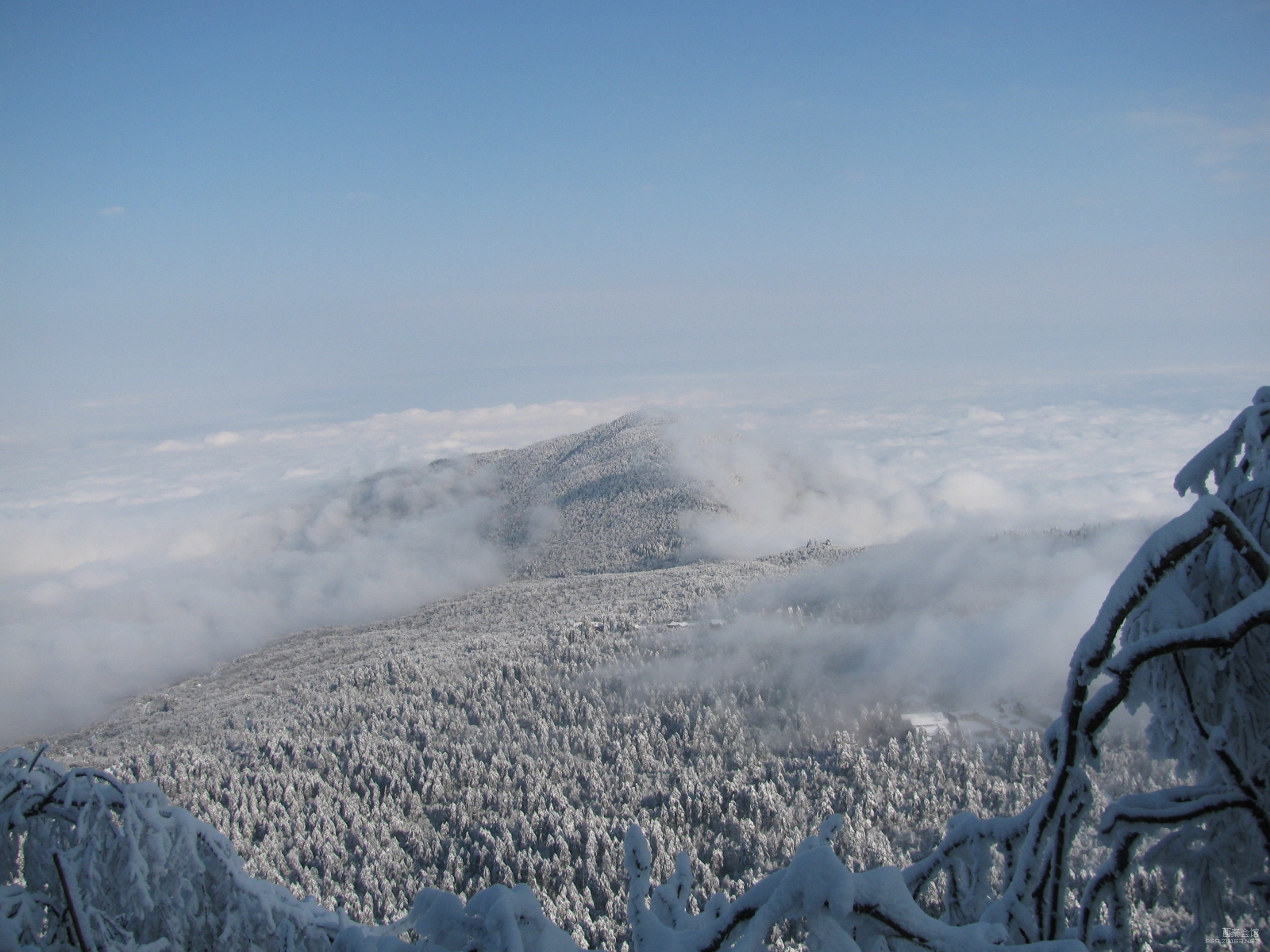 2011年圣诞节前冒雨雪暴游峨眉山观雪景日出云海奇观