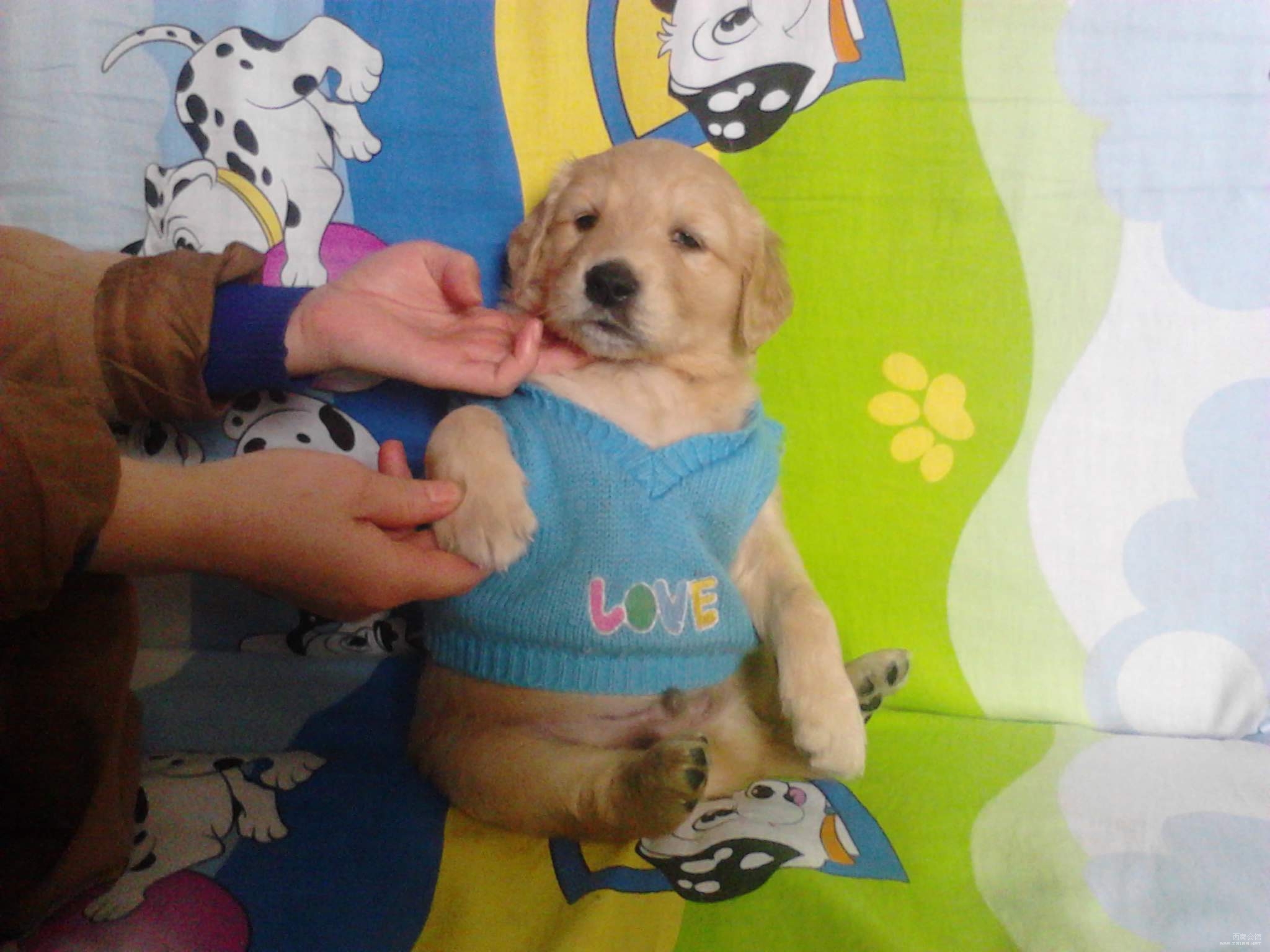 现在<em>靓妹仔</em>_<em>靓妹仔</em>_<em>靓妹仔</em>之<em>失贞洪晓芸</em>