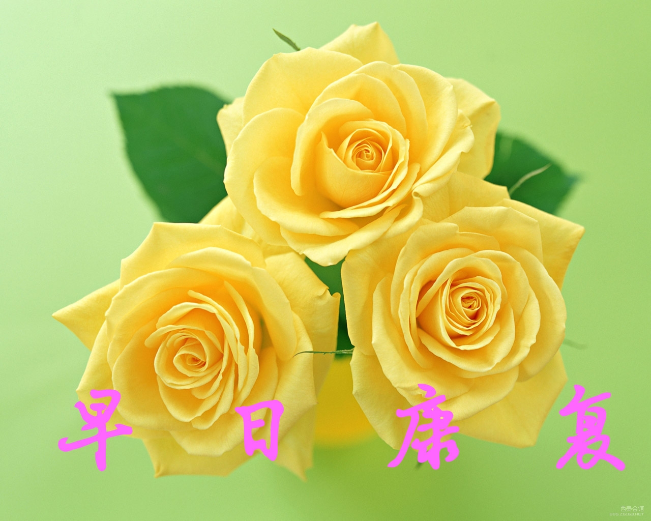 大哥,祝你早日康复!早日归队!