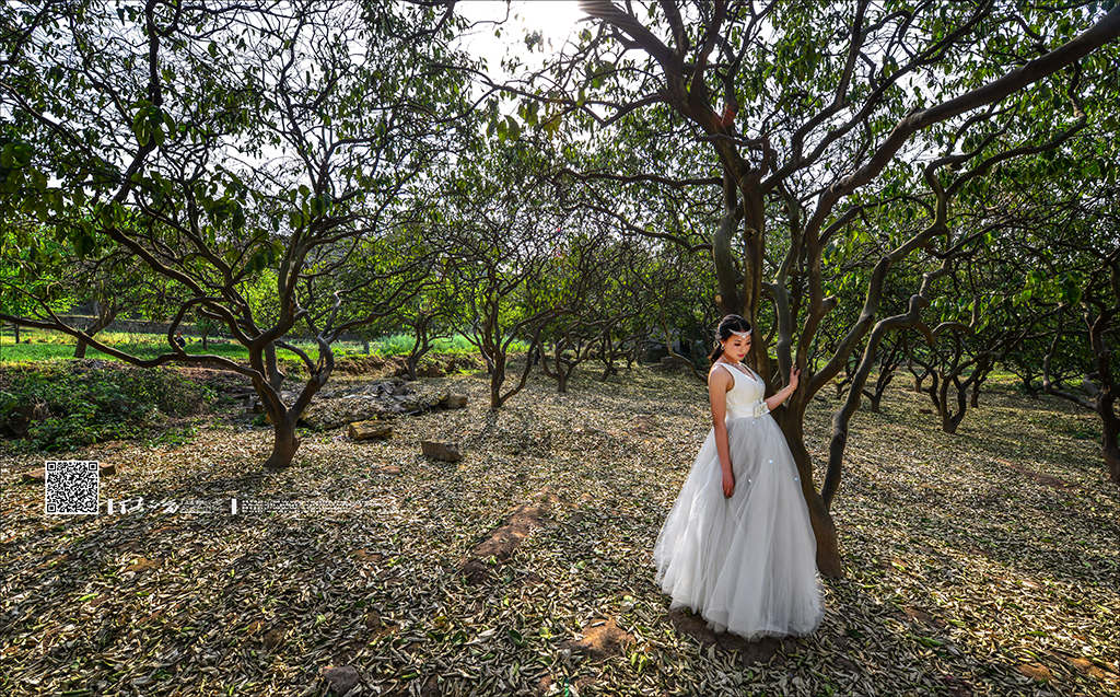 自贡恐龙博物馆_自贡 婚纱