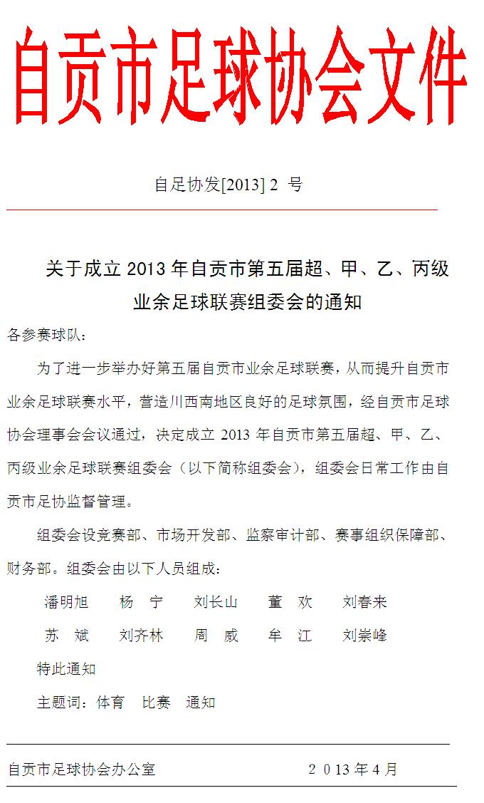 2013联赛足协文件