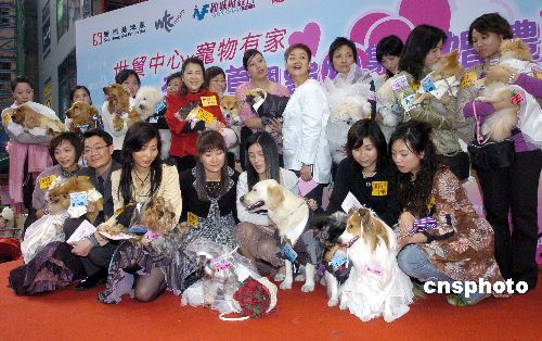 图:香港举办首个宠物集体婚礼