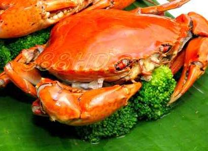 点击图片查看详情 减肥可以吃海鲜吗_深圳澳头吃海鲜_透明内裤裆可以看到逼(2)