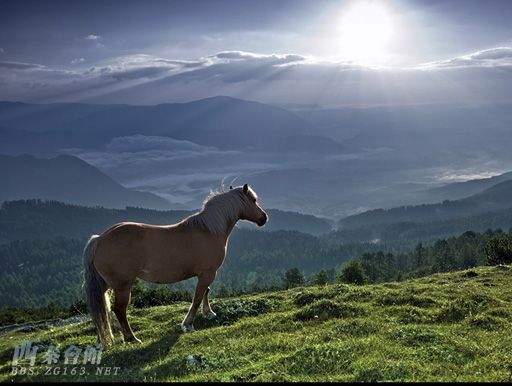 【视频】图片大全梦幻般的天堂,图片大全梦幻