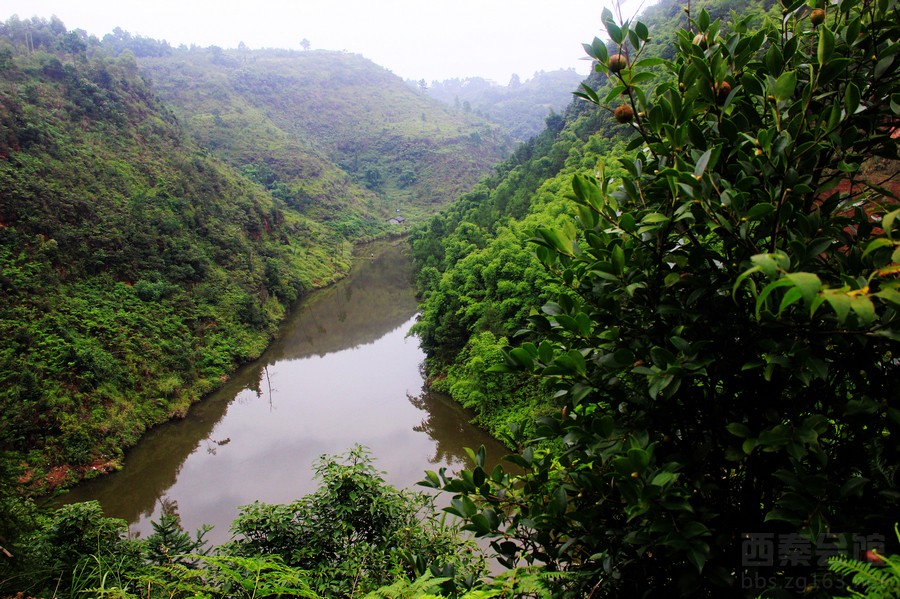 飞龙峡跨陡沟子至鱼米之乡饱览象征幸福的四叶草-西秦会馆 - 自贡在线