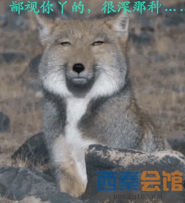 肥得跟头猪似的,还自以为很聪明,呵呵.
