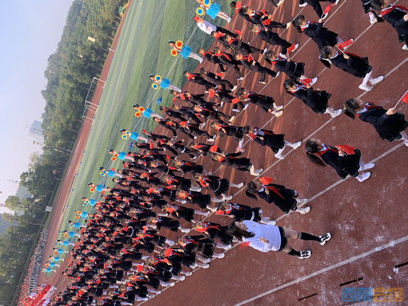 运动彰显青春风采丨2019绿盛实验学校南湖校区第七届运动会拉开序幕!