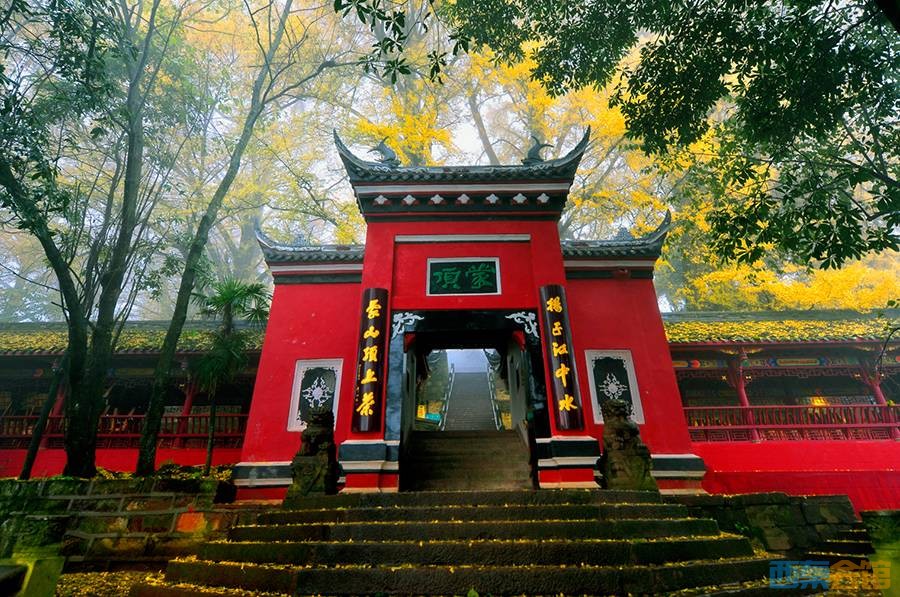 千佛寺 ,净居庵等寺庙坐落于茶园.