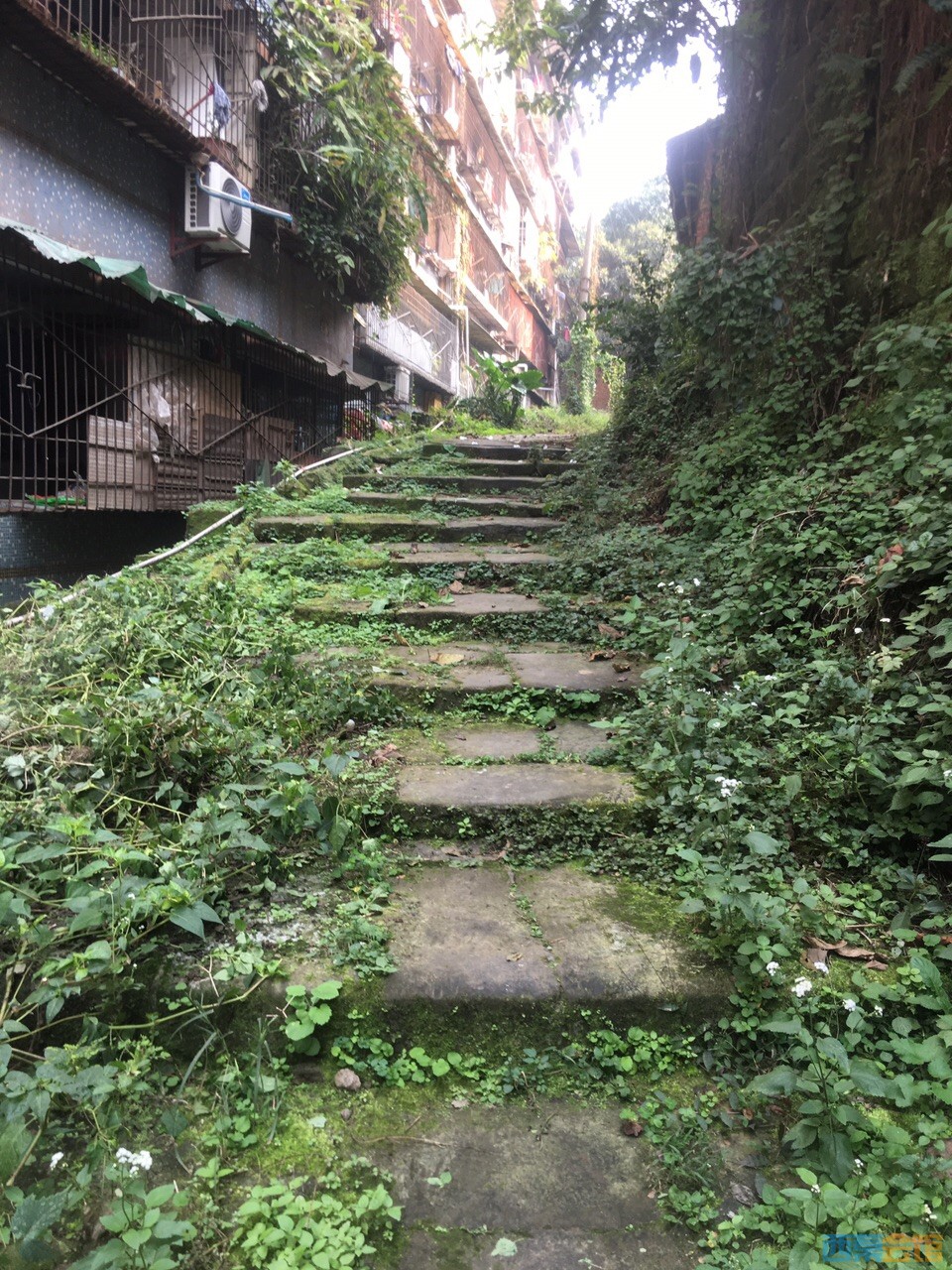 下面这段石板路距起点位置约三四十米,是现存古盐道的的第二段石板路