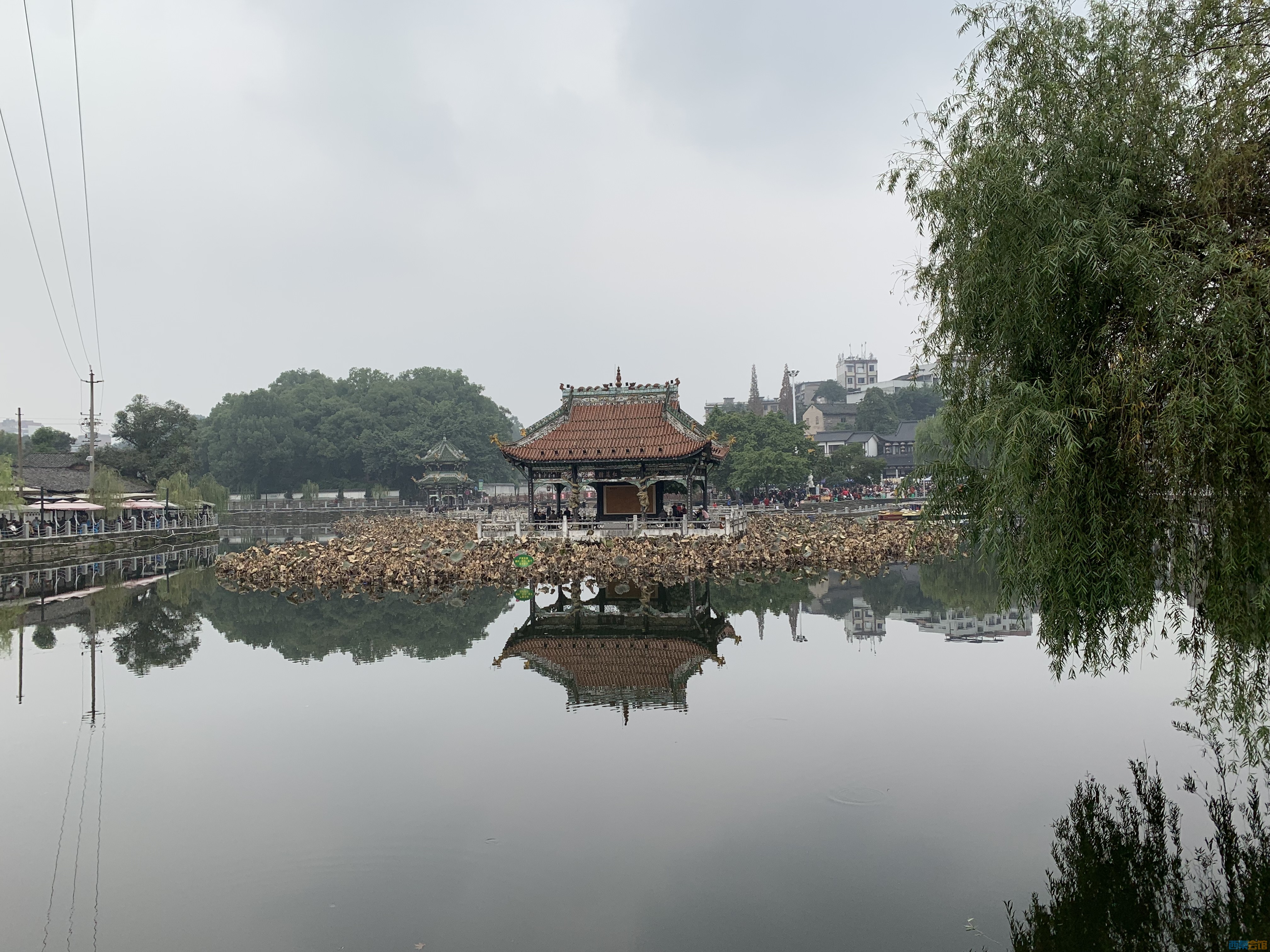 百城行|巴蜀文化旅游走廊"百城行"走进自贡富顺:品色香味俱全"赵化