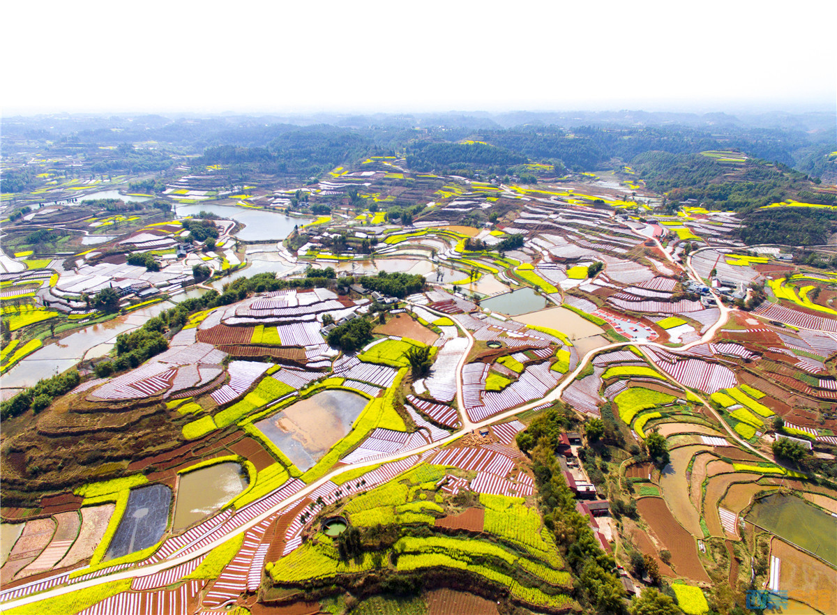 (乐德红土地)摄影:荣思恒 15196008967  时间 :3月8日.jpg