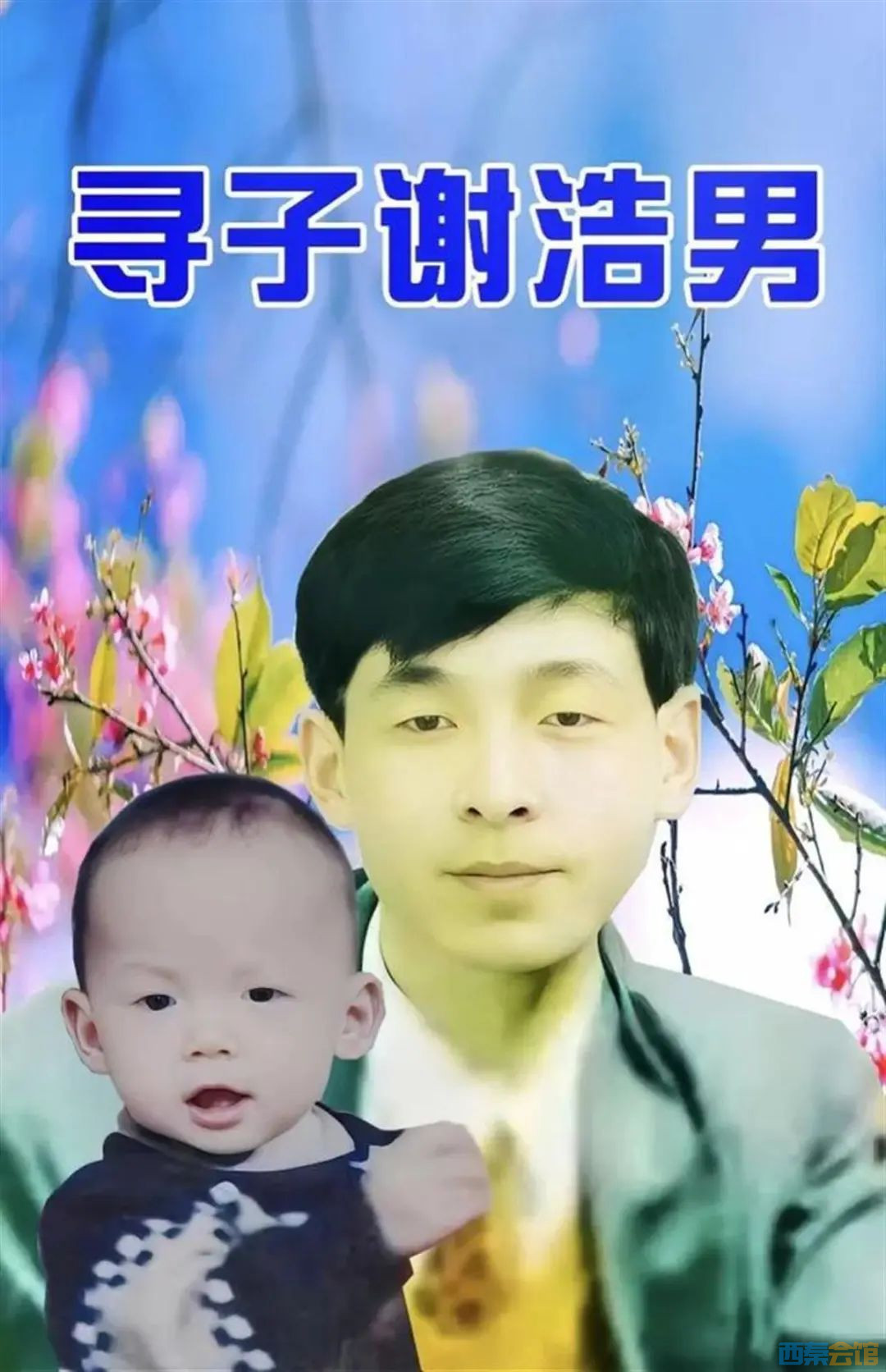 33.jpg