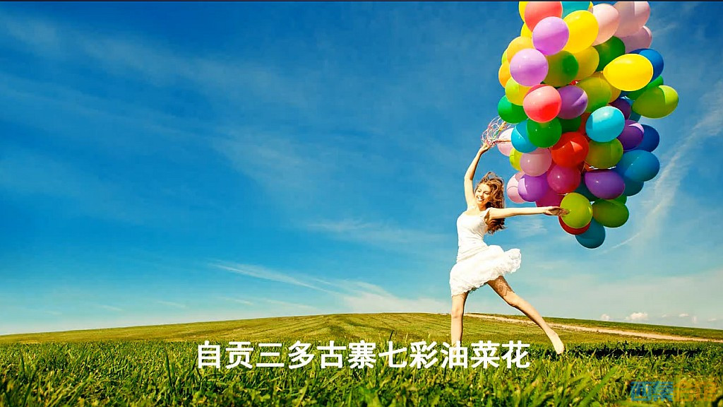 conew_QQͼ20250317201226.jpg