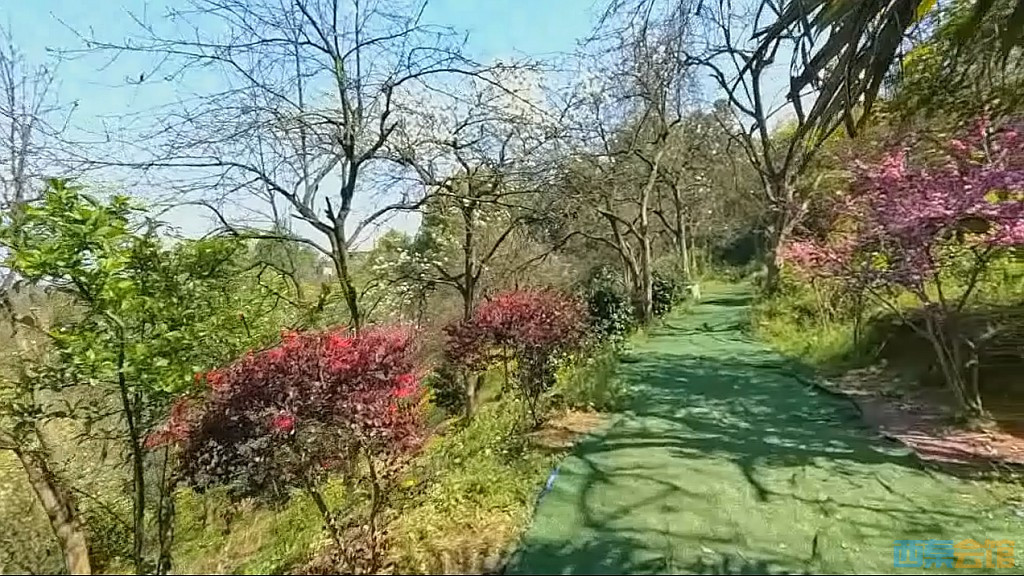 conew_qqͼ20250327123140.jpg