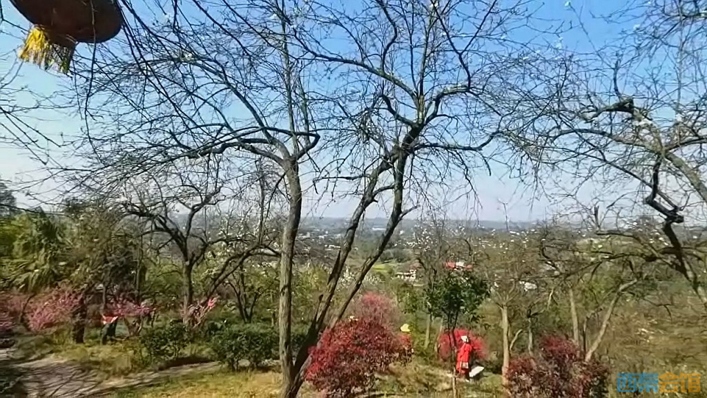 conew_qqͼ20250327123526.jpg