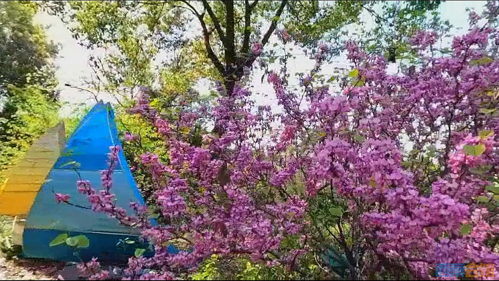 conew_qqͼ20250327122757.jpg