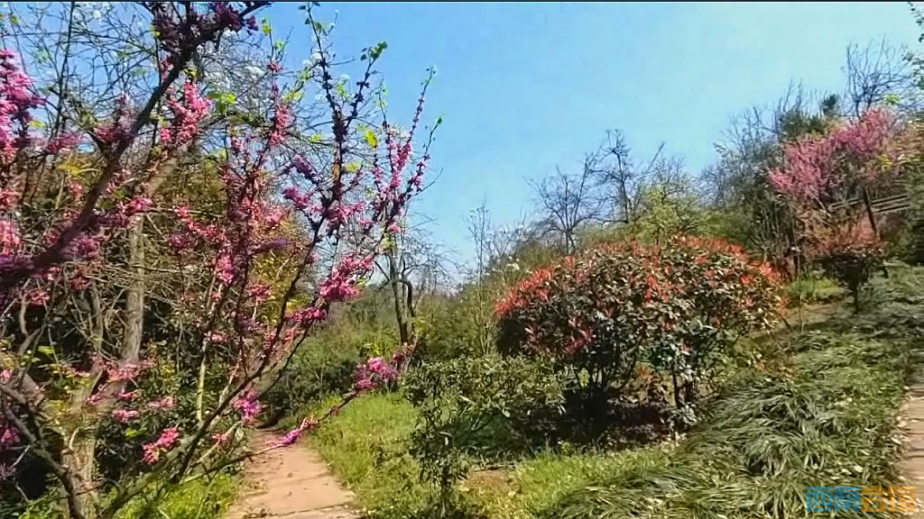 conew_qqͼ20250327122835.jpg