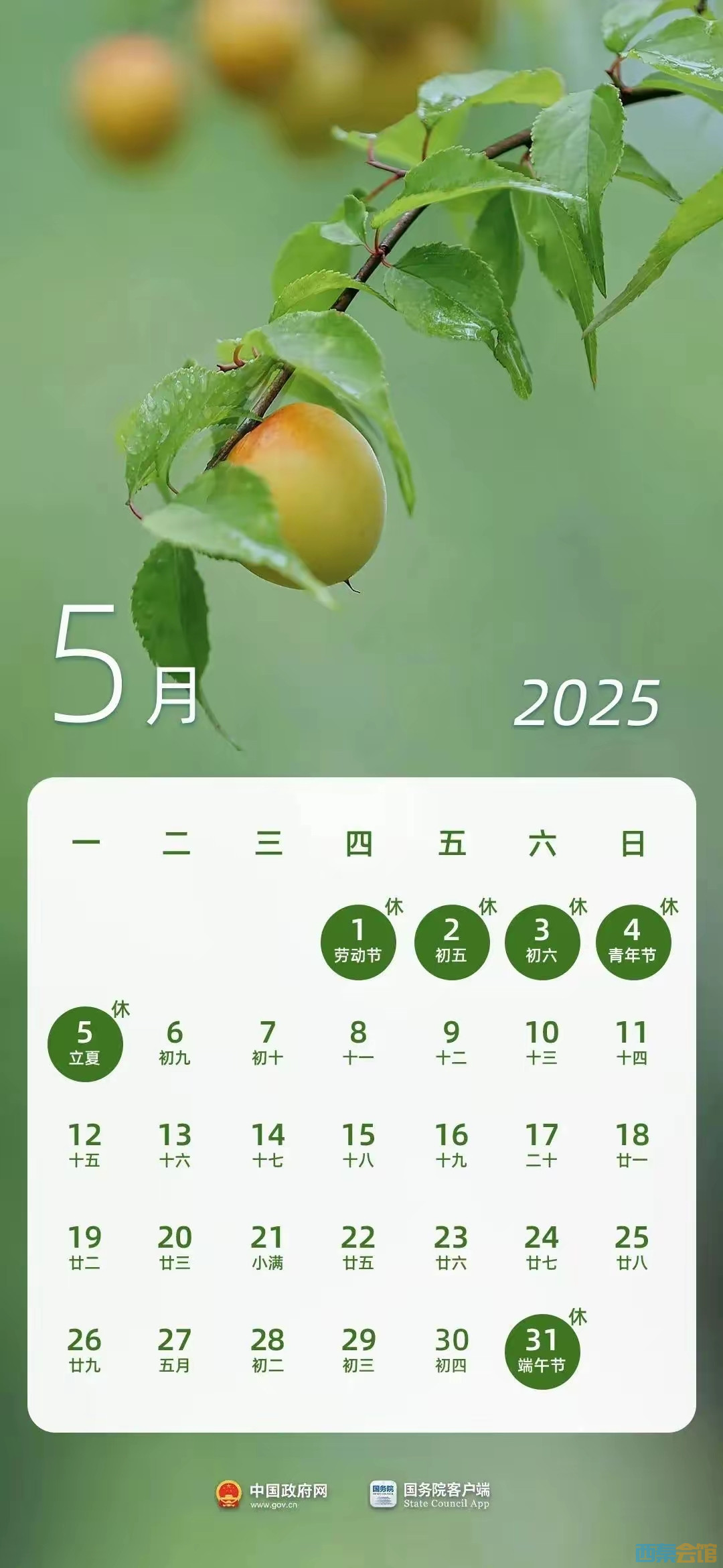 20250327135126front2_0_1552271_FoulvhlSOUFWmaeuJXCz21HkfcQh.jpg