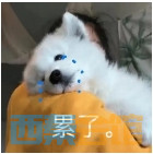 13.png