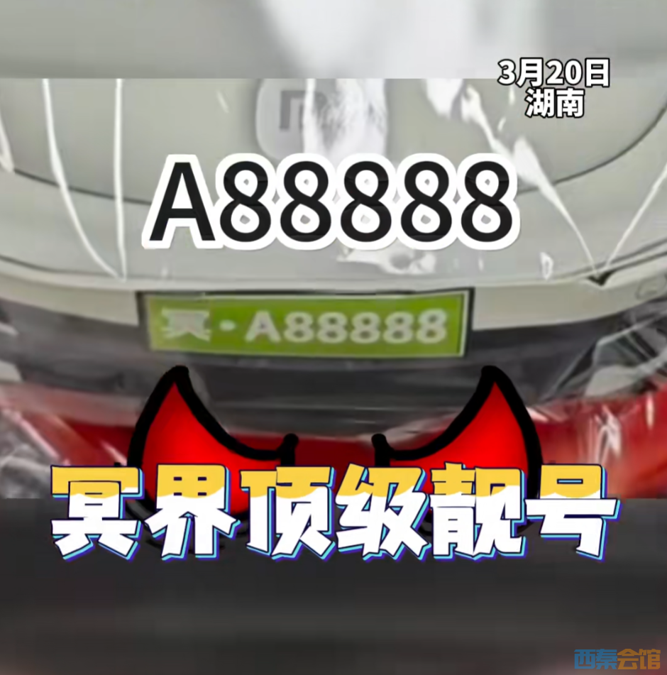 13.png