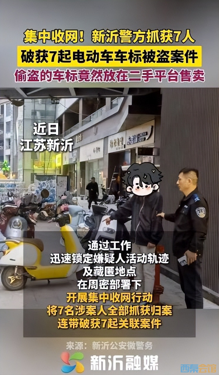 73.jpeg