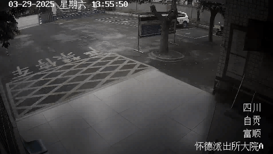 13.gif
