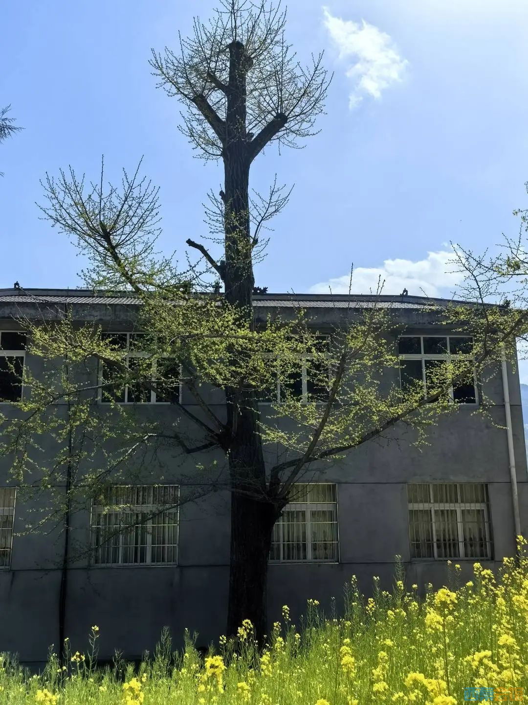 97.jpg