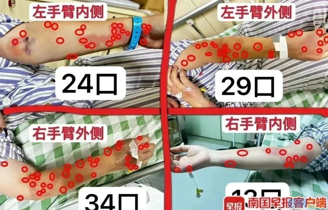 9.jpg
