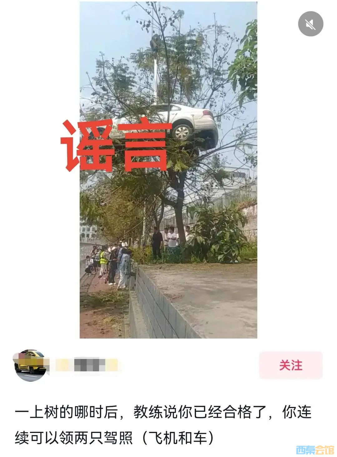 26.jpeg