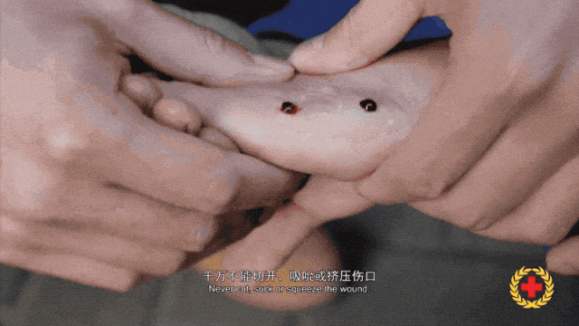 ΢ͼƬ_20250416085110.gif