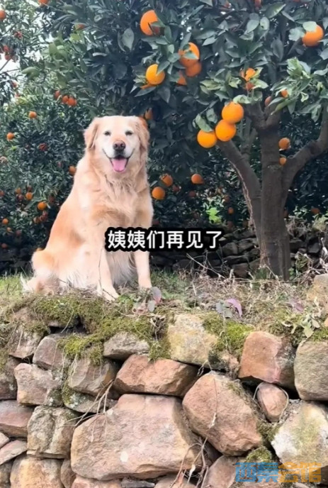 ΢Žͼ_20250417091711.png