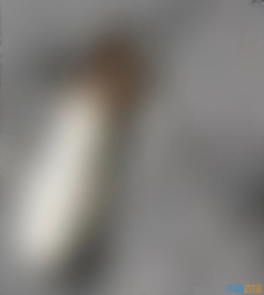 88.jpg