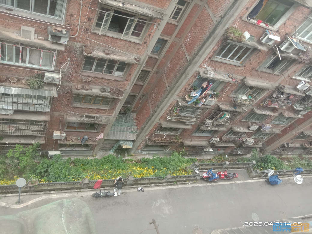 20250421140743front2_0_1761391_FspHrHUaXC4oEXFE3Bgc1Burxg28.jpg