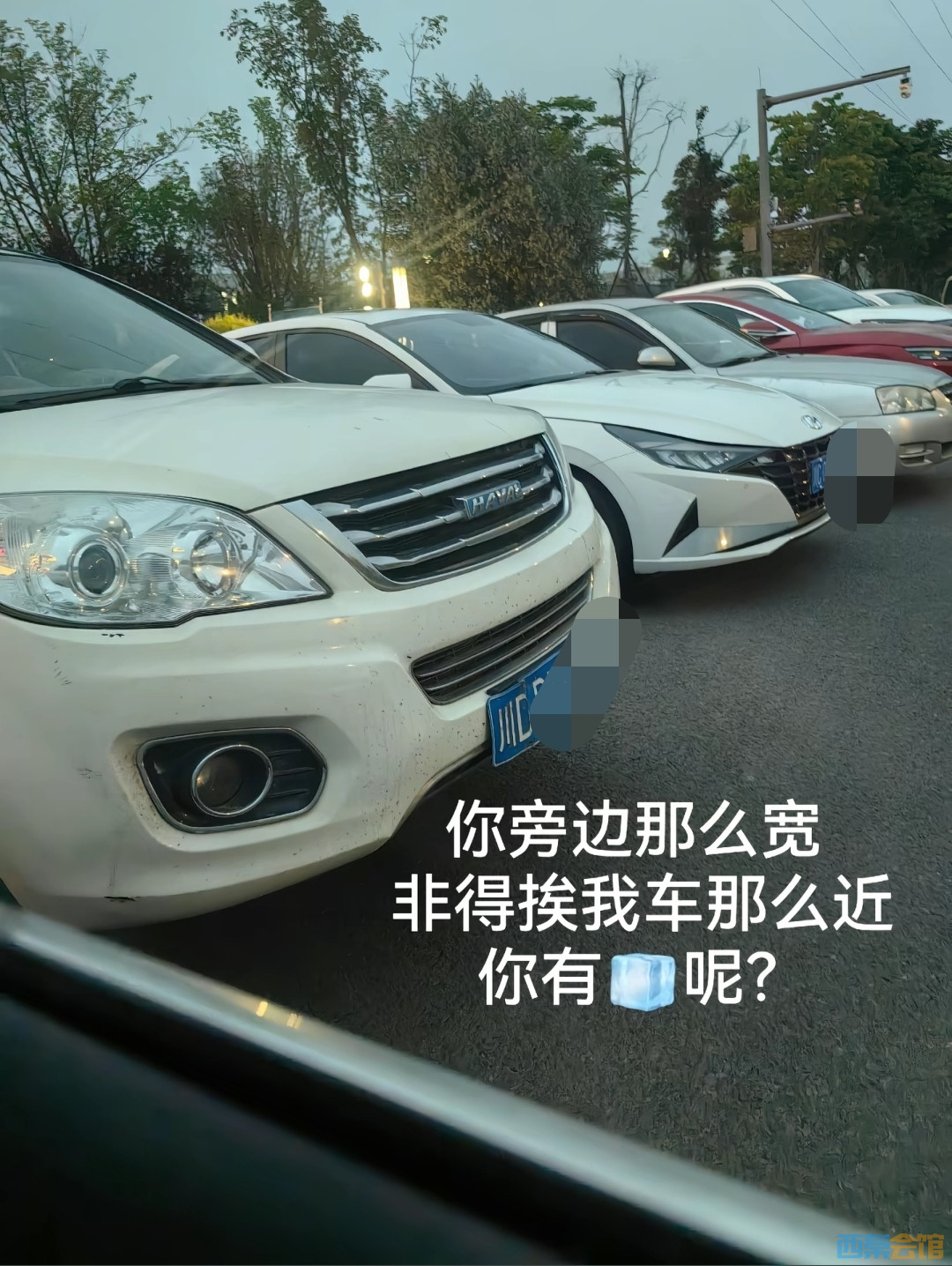 20250424100250front2_0_1782938_FuDC6GK4vW0nihFaG4mBroQW1zdg.jpg