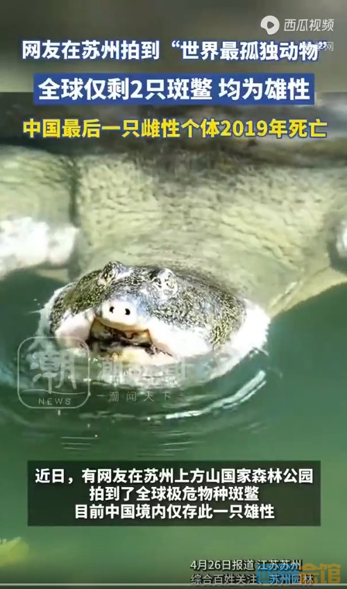 49.png
