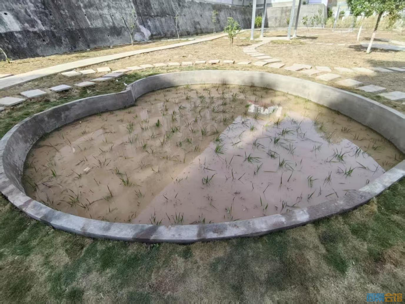 ͼƬ49.png