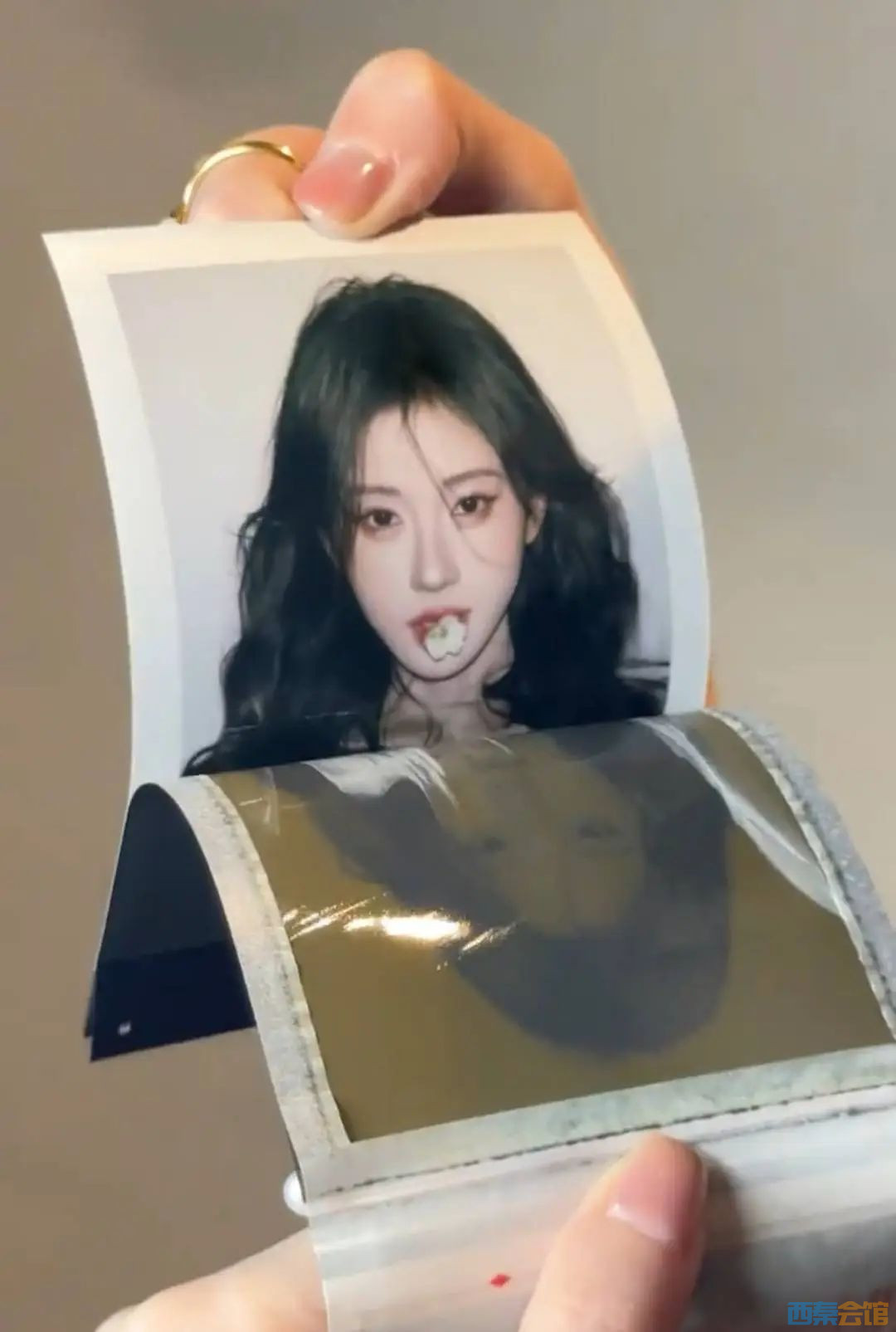 50.jpg