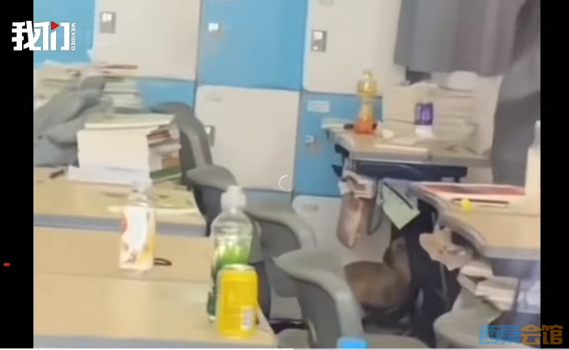 66.png