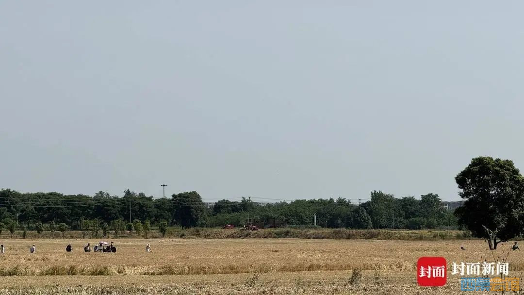 60.jpg