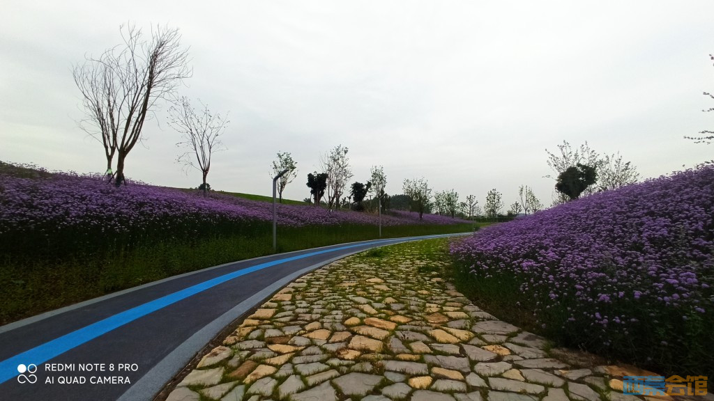 conew_1747406740170.jpg
